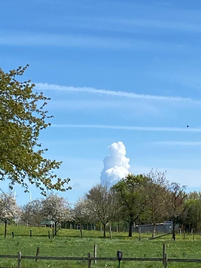 Ferienwohnungen Bueffel Heimbach Esterno foto